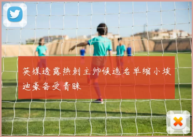 英媒透露热刺主帅候选名单缩小埃迪豪备受青睐