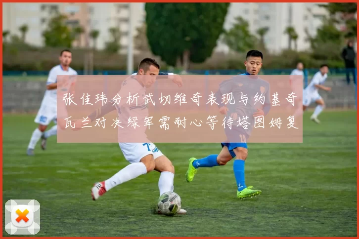 张佳玮分析武切维奇表现与约基奇瓦兰对决绿军需耐心等待塔图姆复出